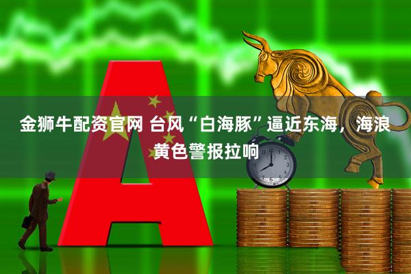 金狮牛配资官网 台风“白海豚”逼近东海，海浪黄色警报拉响